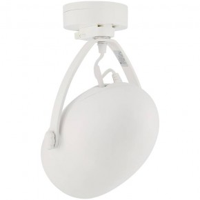 Loud of Sweden Wireless S1, Speaker