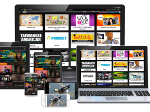 Online Video & TV Platform