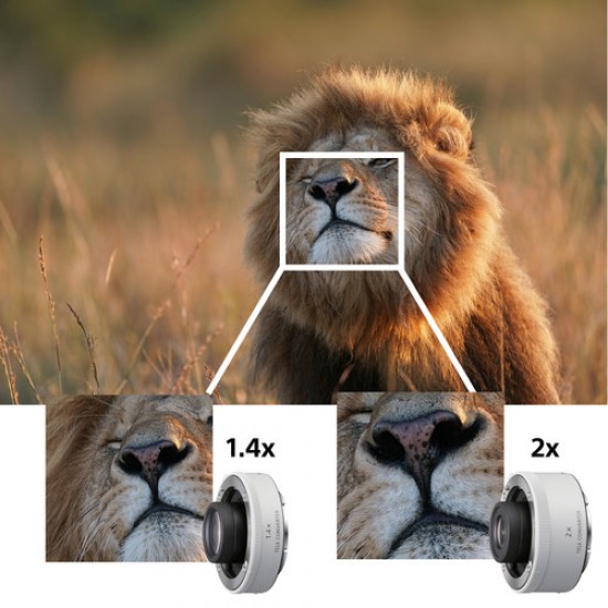 Sony FE 600mm f/4 GM OSS Lens (SEL600F40GM) Sony FE 600mm f/4 GM OSS Lens (SEL600F40GM)